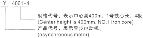 西安泰富西玛Y系列(H355-1000)高压YKK3552-2-250KW三相异步电机型号说明